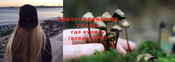 мескалин Алексеевка