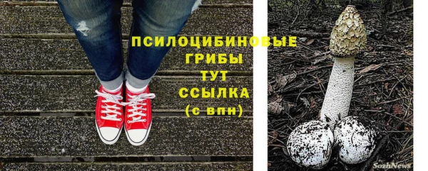 молекула духа Абдулино