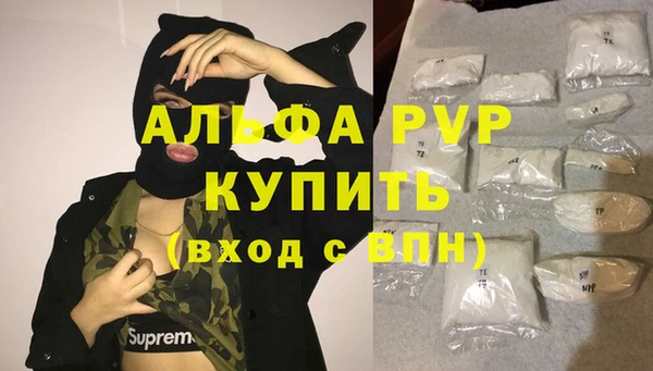 прущий лед Абаза
